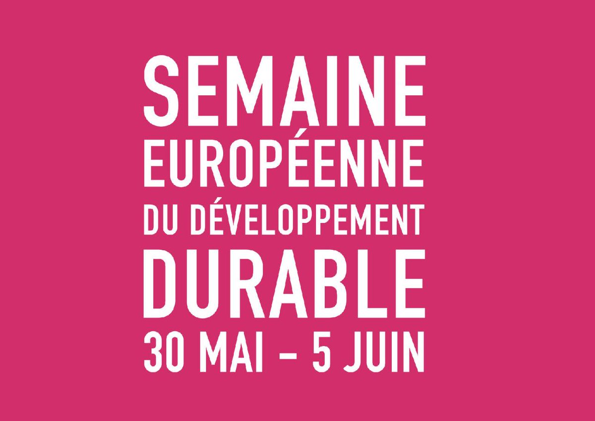 Curius 🔍 Branding & Design tweet media