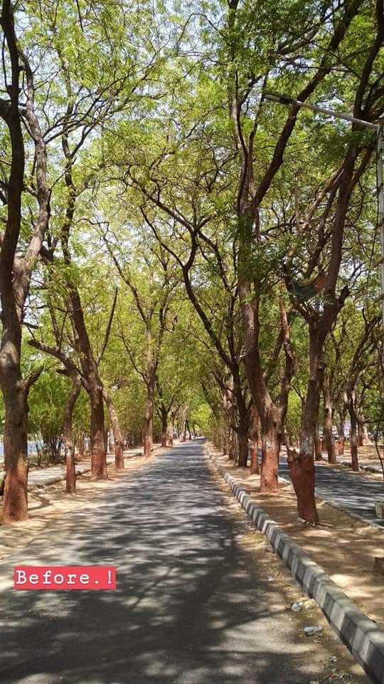 urbanvoicesin's tweet image. Next time when you hear the word "Development",
Ask first, 'At what cost?'

This is from #Gandhinagar, one of the greenest city where for road widening hundreds of tress are chopped down. 

#WorldEnvironmentDay
#Gujarat #SaveTrees
📸 by SaralPatel/FB