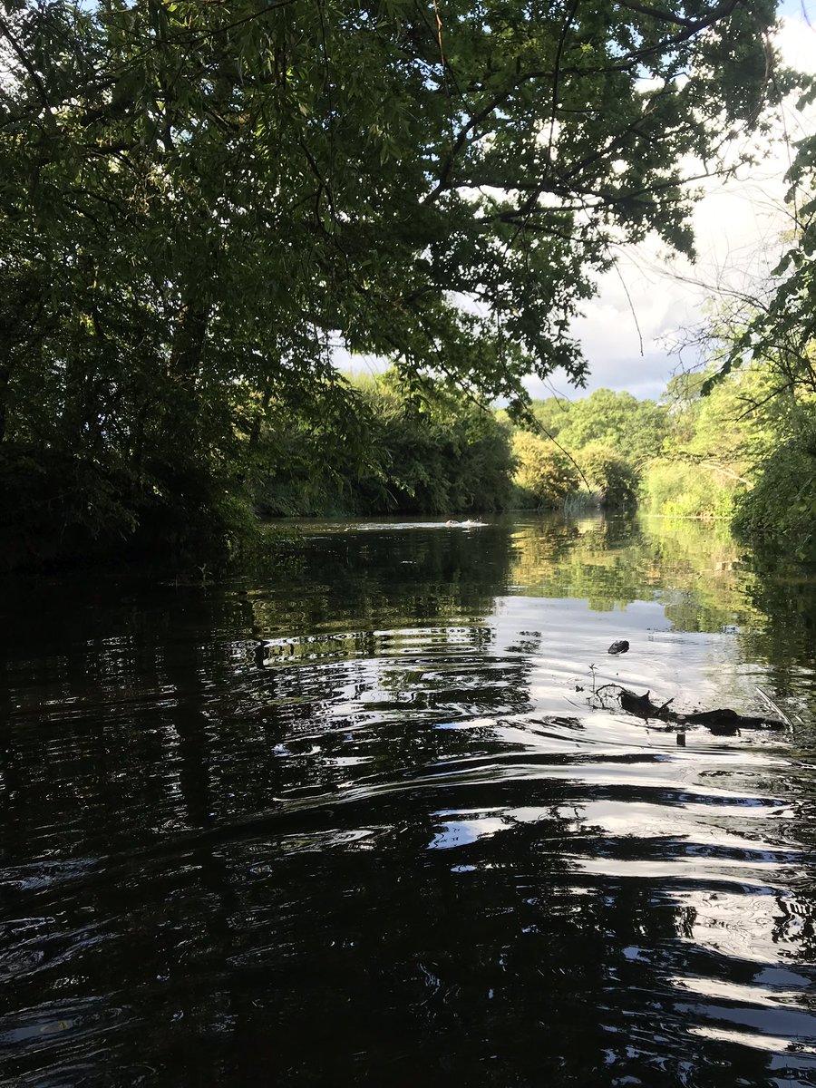 The glorious Ouse in Bedford. Don’t forget it’s only just over two weeks until Our Bedford Swimrun race, get entered at entrycentral.com/akamustard. More details about all our races can be found at akamustard.events. #Swimrun #riverouse #river #riverswimming #trailrunning