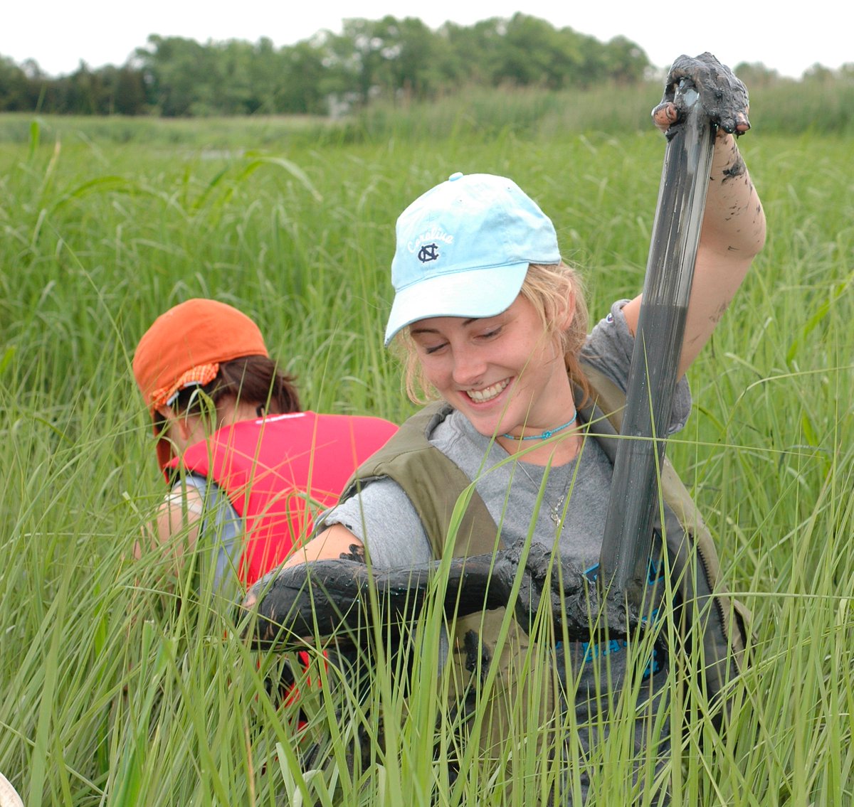 ashleyrsmyth's tweet image. Do you like #mud, #nitrogen, and colored pens? I'm looking for a technician to join my lab @UFTropical. This is a state-funded position with full benefits. explore.jobs.ufl.edu/cw/en-us/job/5…
