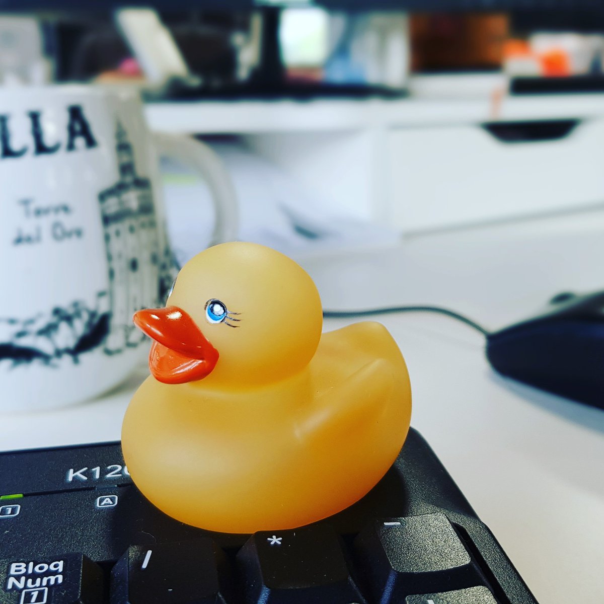 AlvaroCasvi's tweet image. Rubber ducking debugging 🐤👨🏽💻😂🙈
#rubberducky #debugging #thepragmaticprogrammer #computerengineer #programming #programacion