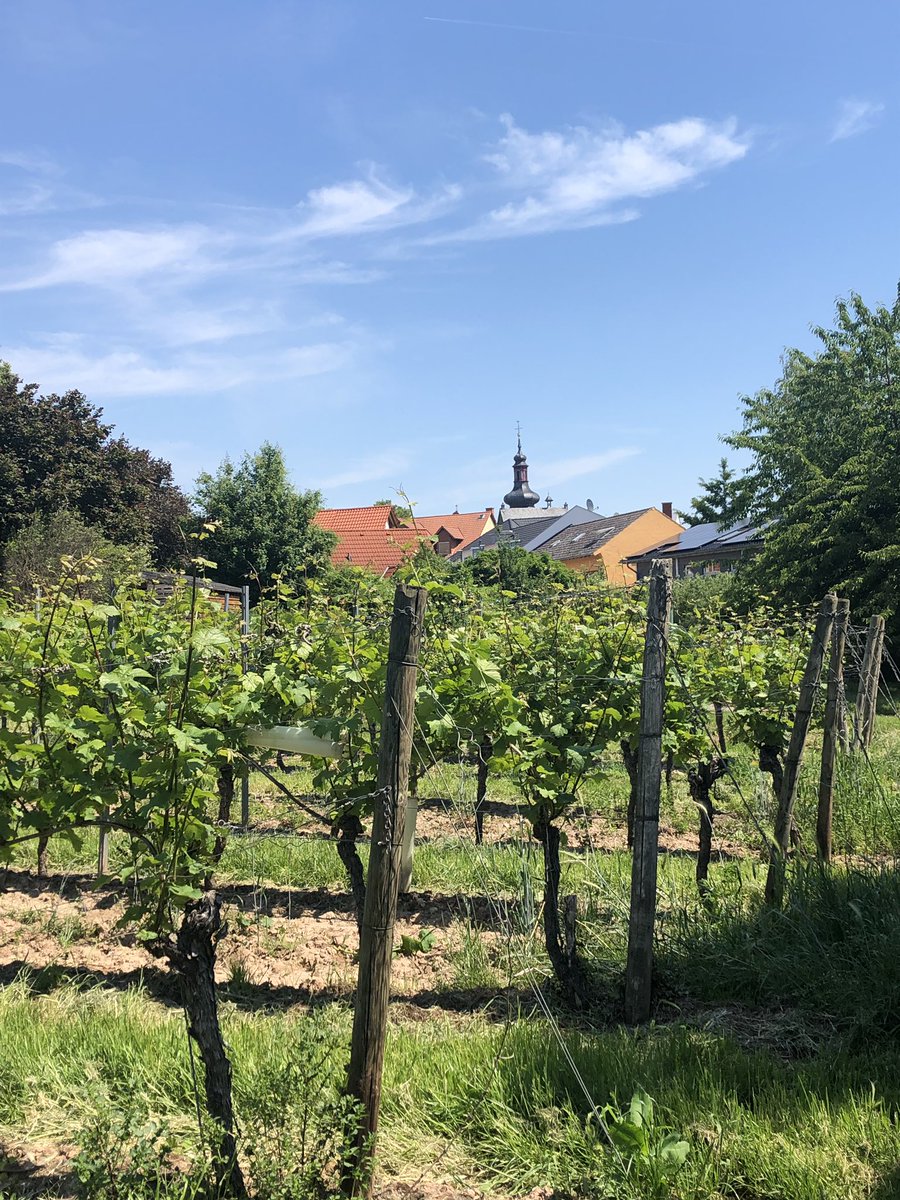 Division of HOP tweet media