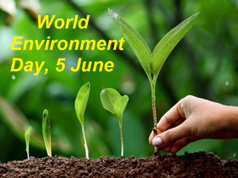BeeseProject's tweet photo. Our partners @workforsocial and @UAM_Madrid will hold a #probono marathon in Madrid, Spain during 
#WorldEnvironmentDay A group of students and business experts will provide digital marketing services to a sustainable fashion brand #BeeseProject #CampusProBono #BEESE https://t.co/vZvVDEsZW3