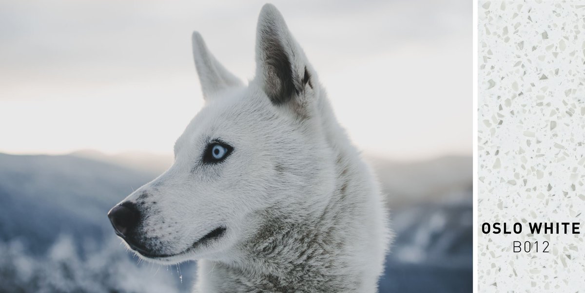 ◻️OSLO WHITE - B012 ◻️supplies a brilliant, yet cooling white backdrop scattered with gray and taupe flecks.  This versatile color is able to display boldly on its own or to better help pull your design together. #ElevateLife

Order your samples today: hanexsolidsurfaces.com/products/oslo-…