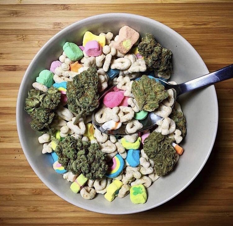 GreeneryMap's tweet photo. Breakfast of champions! 🥄💚 Download #Cannabis’ newest search engine #greenerymap to find all the best products and strains for you! #dontbeconfusedchooseyourmood #MapURMood https://t.co/i3BScA0NHL