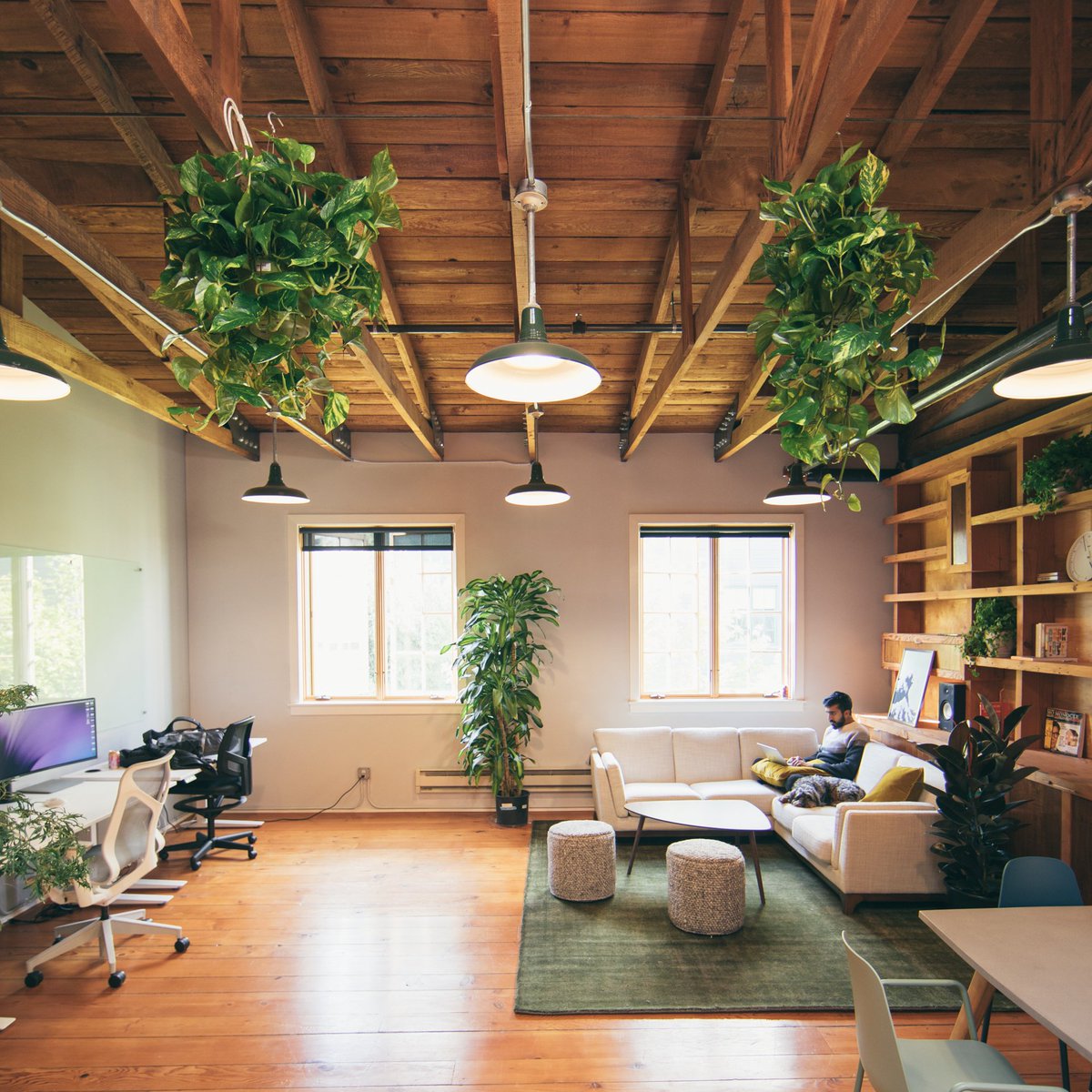 alexcornell's tweet photo. It's been 7mo since @SachinMonga and I left Facebook. After YC, we closed a $3M seed round and moved into a serene little office in the Mission. We've been working hard on our new thing. It's not ready yet, but we're ready for you to join us

We're hiring: https://t.co/YyG7U3sLN9 https://t.co/DnMR2yIuJP
