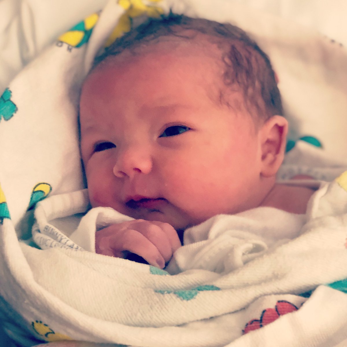 Amy Nelson tweet media