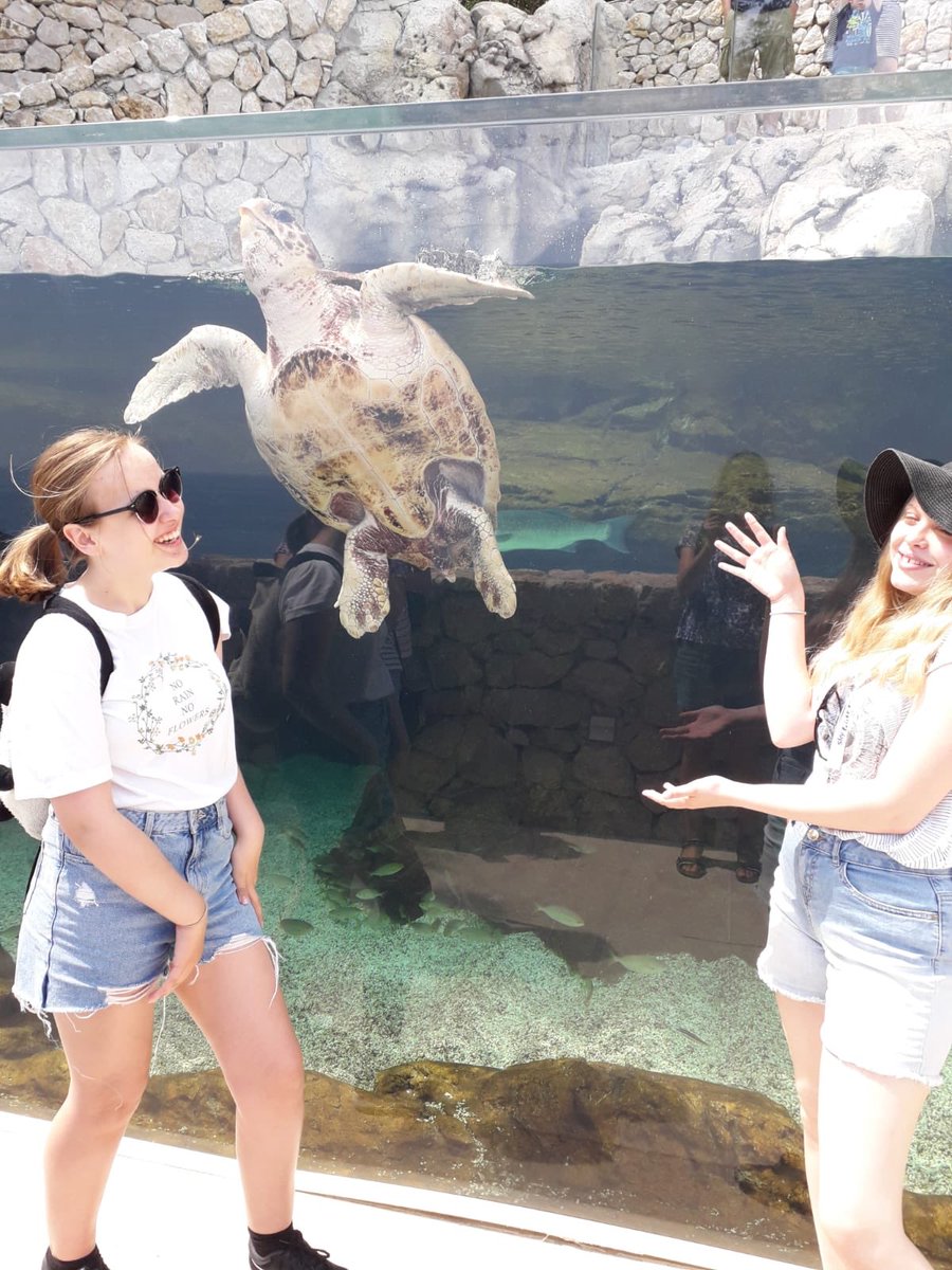 MonacoTrip's tweet photo. We made some friends earlier with the animaux marins français🐠🦑@DownendschNews @CLove49851570 @lisaj_howell https://t.co/4vtZel3MjH