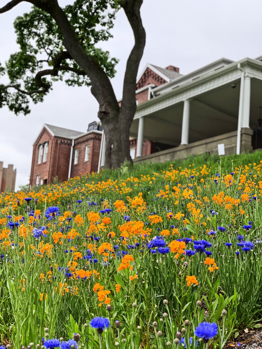 UML Sustainability tweet media