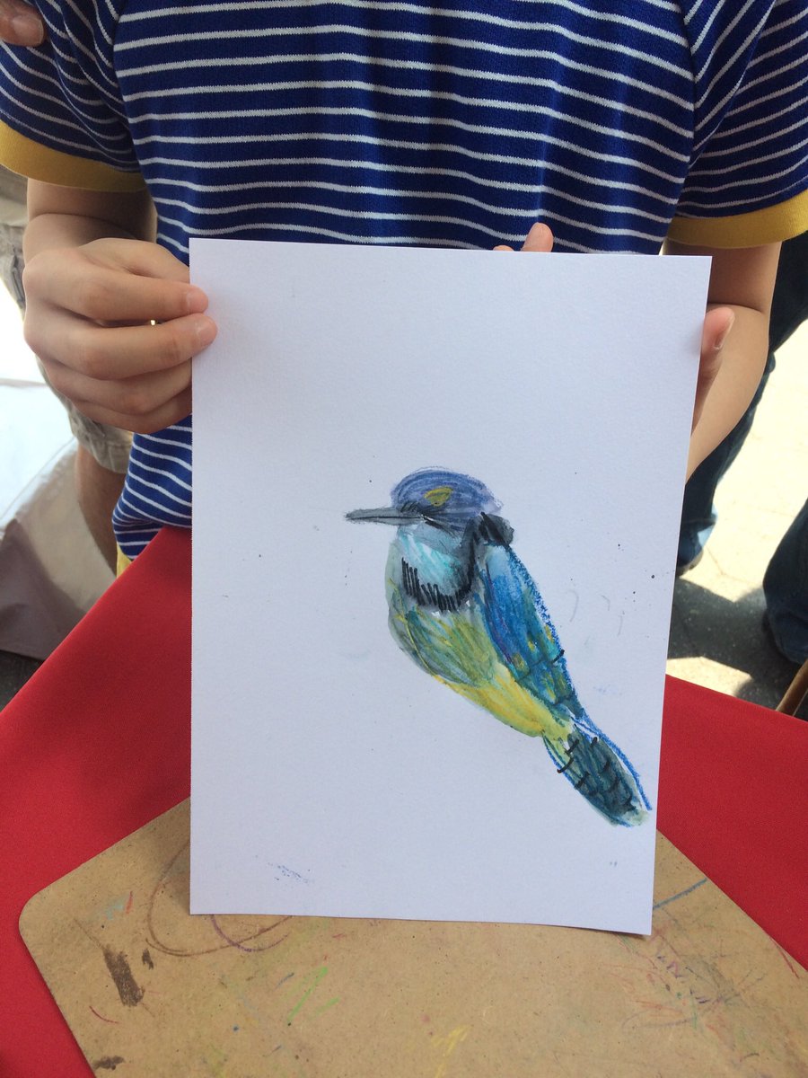 WSPEcoProjects's tweet photo. Young artists flocked to the #EXPLOREBIRDS table at last weekend’s @WorldSciFest to draw a Blue Jay. 
#washingtonsquarepark #worldsciencefestival #WSF19 https://t.co/jRlRPHHvFZ