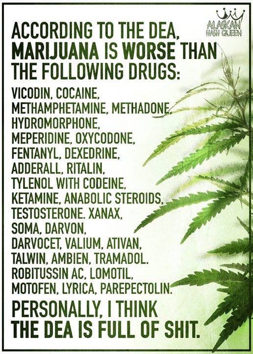 RxLeafMD's tweet photo. #drugs #plantsnotpills #medicalcannabis #cannabis #rxleafdotcom #nolies #wewantthetruth #pharma https://t.co/a5DGZ5qc1f