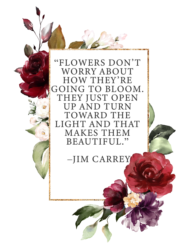 floranext's tweet photo. Flower Quote Tuesday
#florist #florists #floristry #flower #flowers #flowershop #flowershops #retailflorist #independentflorist #floral #florals https://t.co/ZXM7QhhOmB