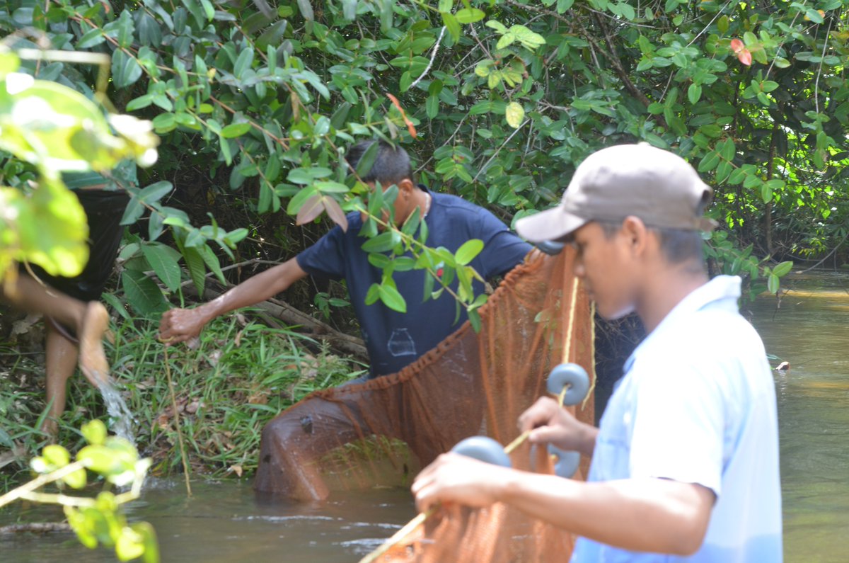 Acuarios_A's tweet photo. #04Jun I #EnFotos 📸 Equipo de pesca de @Acuarios_A desplegado en rios y balnearios de Puerto Ayacucho, con la visión de pescar para preservar y asegurar el desarrollo de las especies autóctonas en #Amazonas. #AmazonasIndetenible #UniónYLealtad https://t.co/VSz72xPsbM
