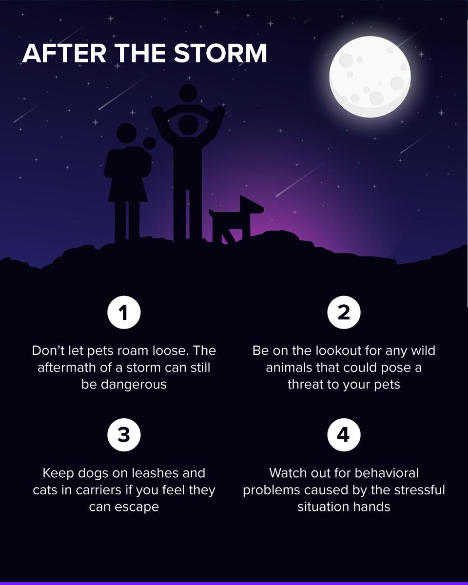 To prepare for the worst, Floridians are being urged to create a disaster plan for their pets. Not sure what a pet disaster plan looks like? Check out the useful infographic here: bit.ly/2XogMLz
