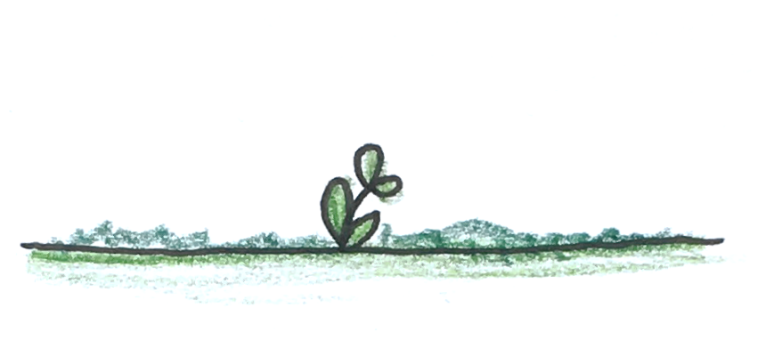 Egon Elbre tweet media