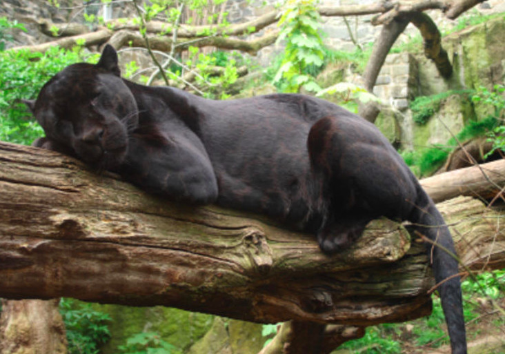 EDINBURGH ZOO || 12th June

Now only £30 INCLUDING ADMISSION 🙃
Pickups across Northumberland with final pickup in Durham. 

BOOK YOUR SPACE TODAY > bit.ly/EdinburghZoo20…