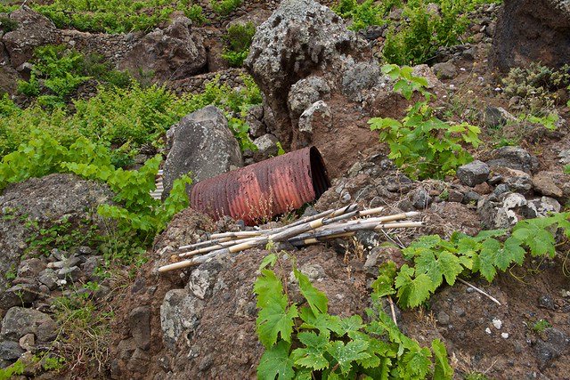 The winemakers and landscapes of Tenerife: a new album on Flickr, all taken on my visit last week. flickr.com/photos/timatki…