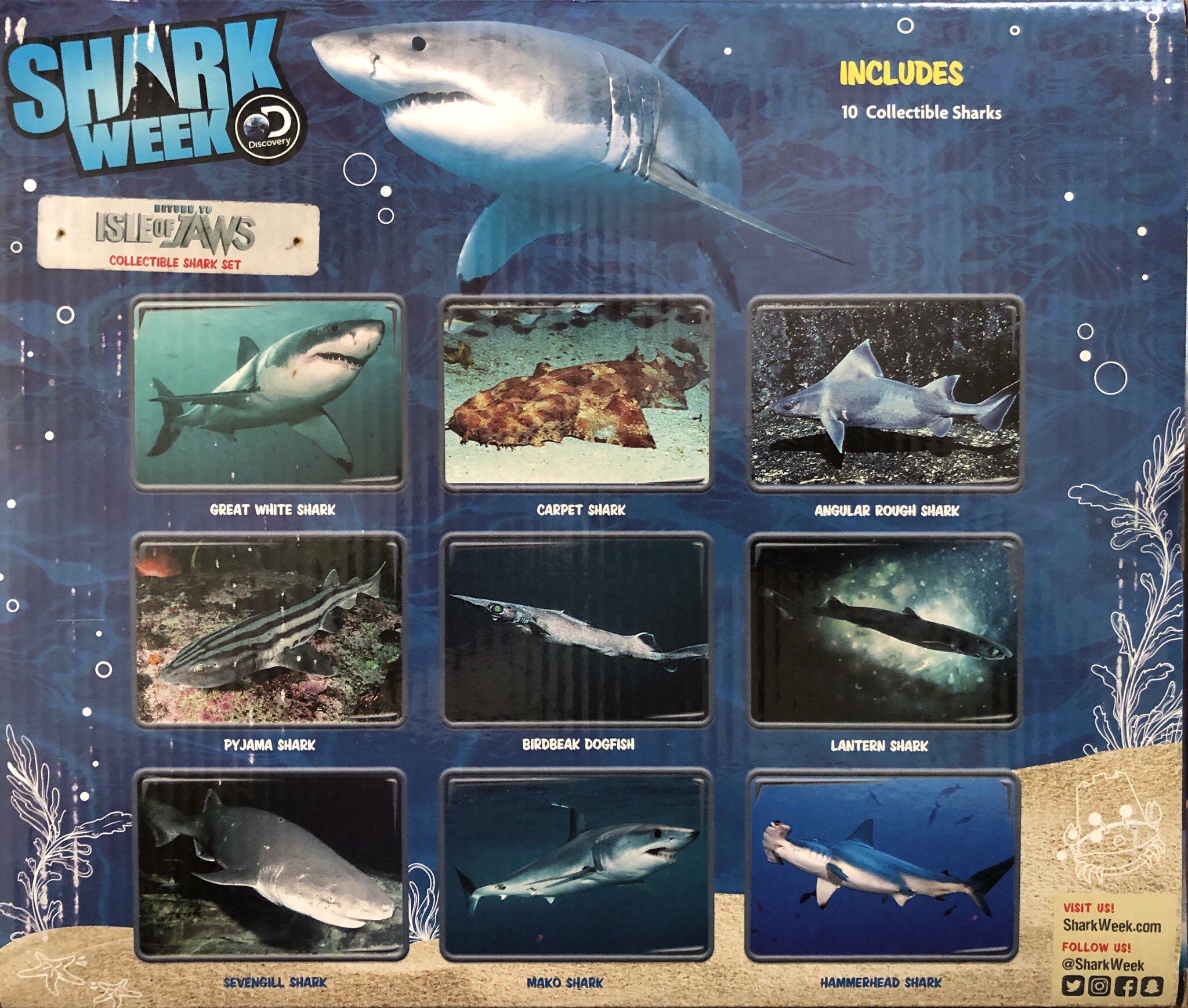 MA Sharks on X