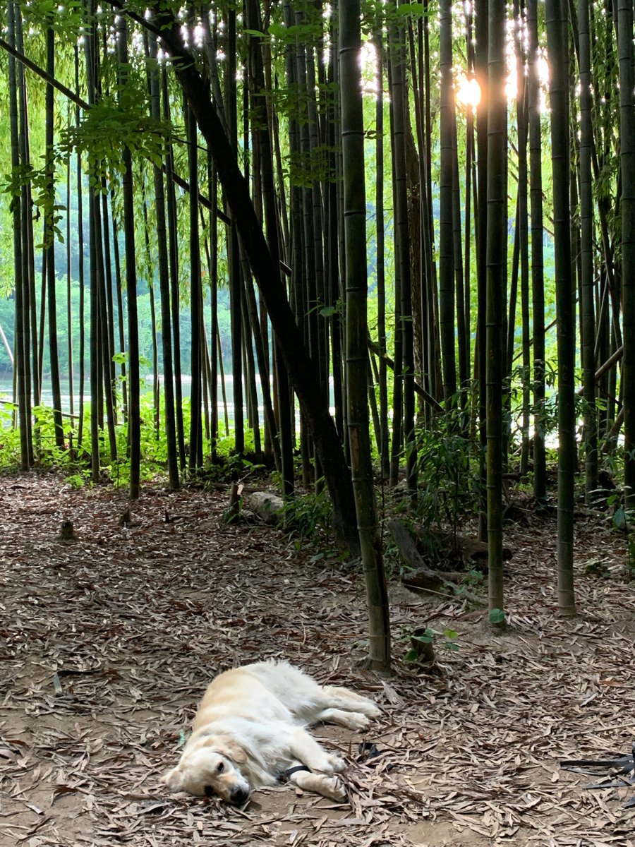 gofetchwellness's tweet photo. Nap often #TuesdayMotivation #gofetchwellness https://t.co/ngXPLNpvYH