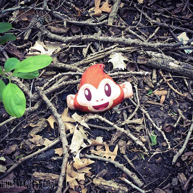 shortyknits's tweet photo. Came across this guy and thought for sure it must have fallen out of the container and that the cache was right there. Nope! The cache was a micro 50 feet away! Turns out it was just 💩 in the woods! 😂 😂 •
•
•
#geocaching #caching #gocaching #springcaching #ilovegeocachin… https://t.co/n1JGoNQUmo
