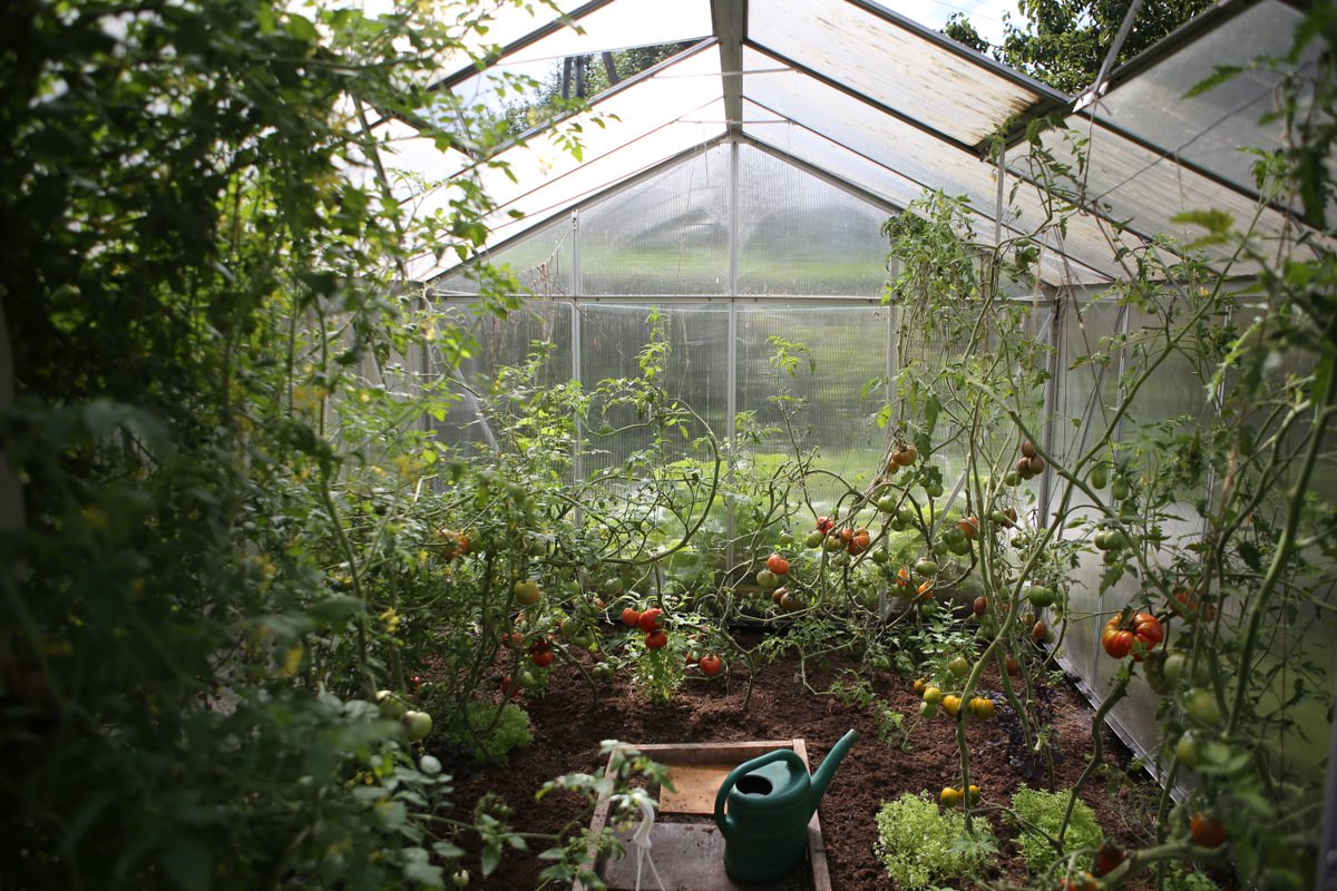Our team offers a variety of services including designing vegetable gardens, chicken coops, and horse paddocks! Give us a call at (631) 751-4880 to learn what we can do for you. 🐎

clovisoutdoor.com
