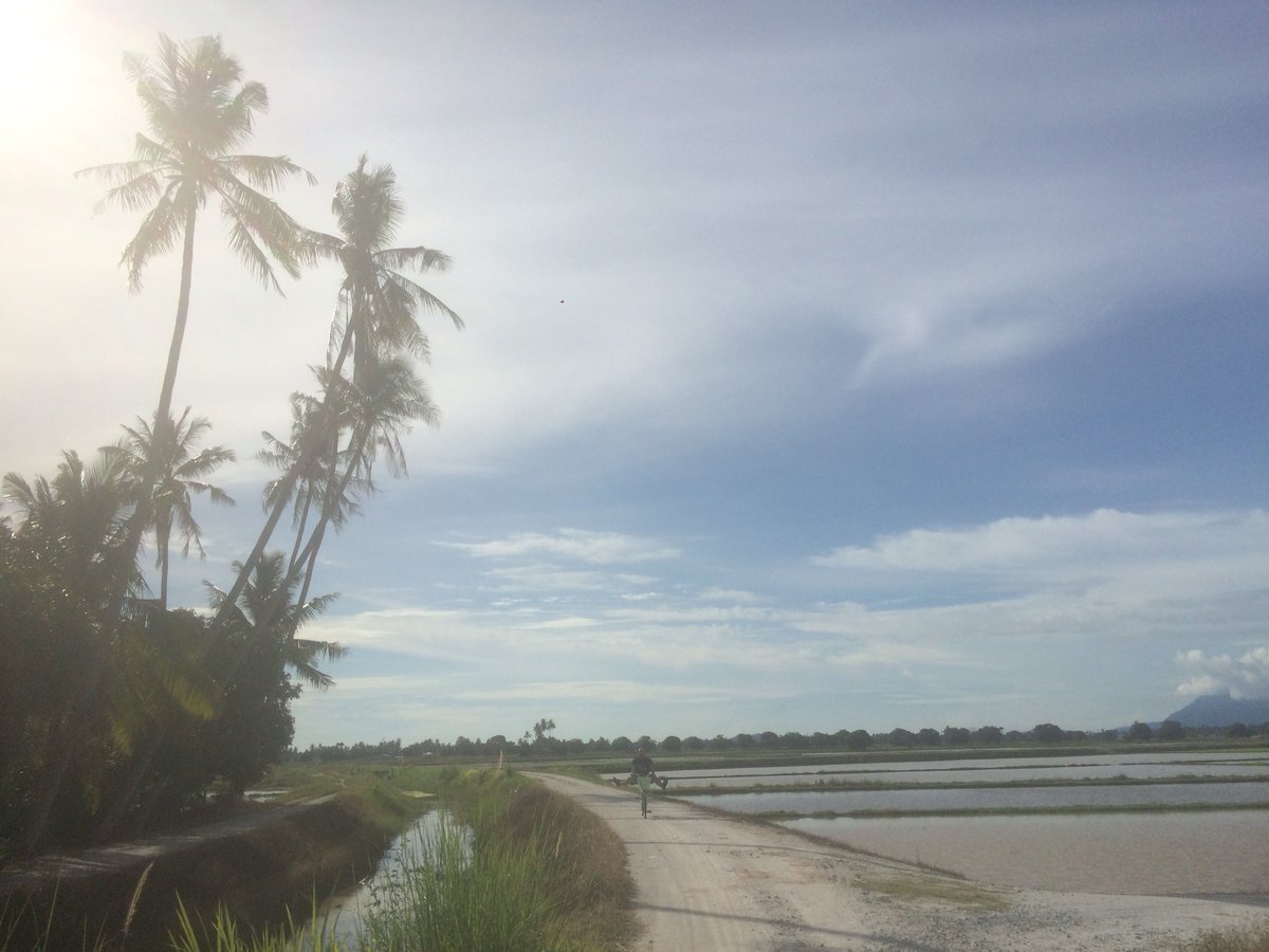 Bendangs are the best cycle paths