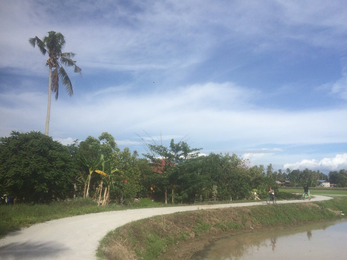 Bendangs are the best cycle paths