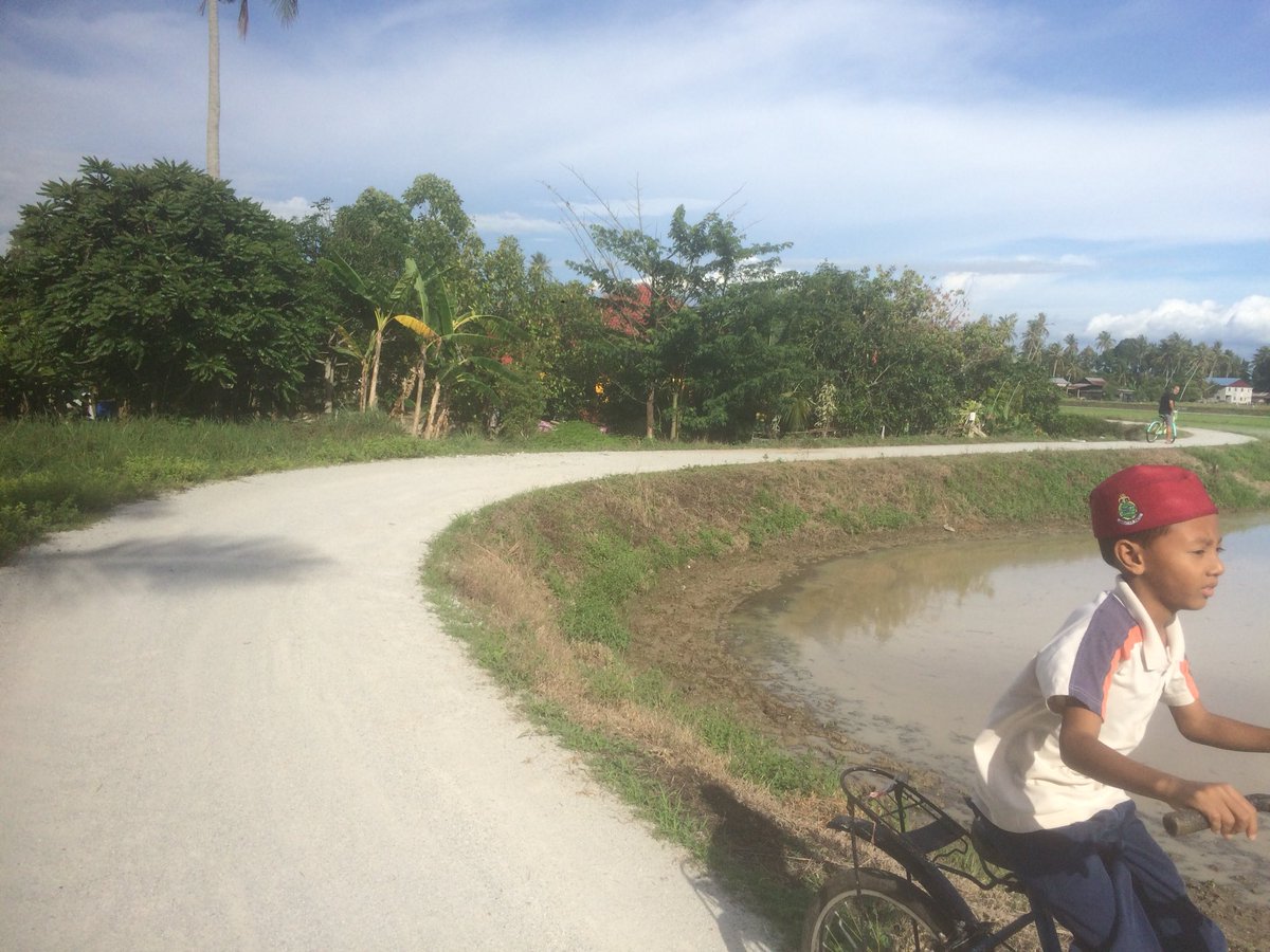 Bendangs are the best cycle paths