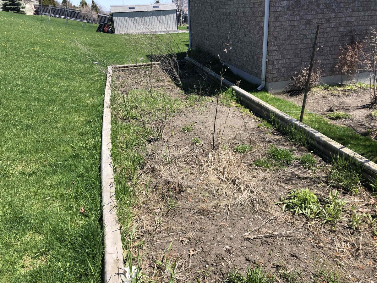 FirstResponseLS's tweet image. What happens when your sick of that garden? You call in the Calvary at First Response Landscaping to make it disappear!