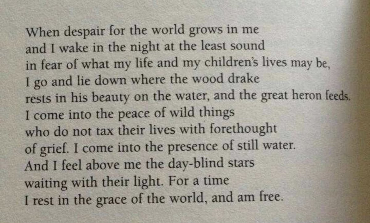 DeanSouthwark's tweet photo. The Peace of Wild Things by Wendell Berry #APoemADay https://t.co/XVrdbzP2BM