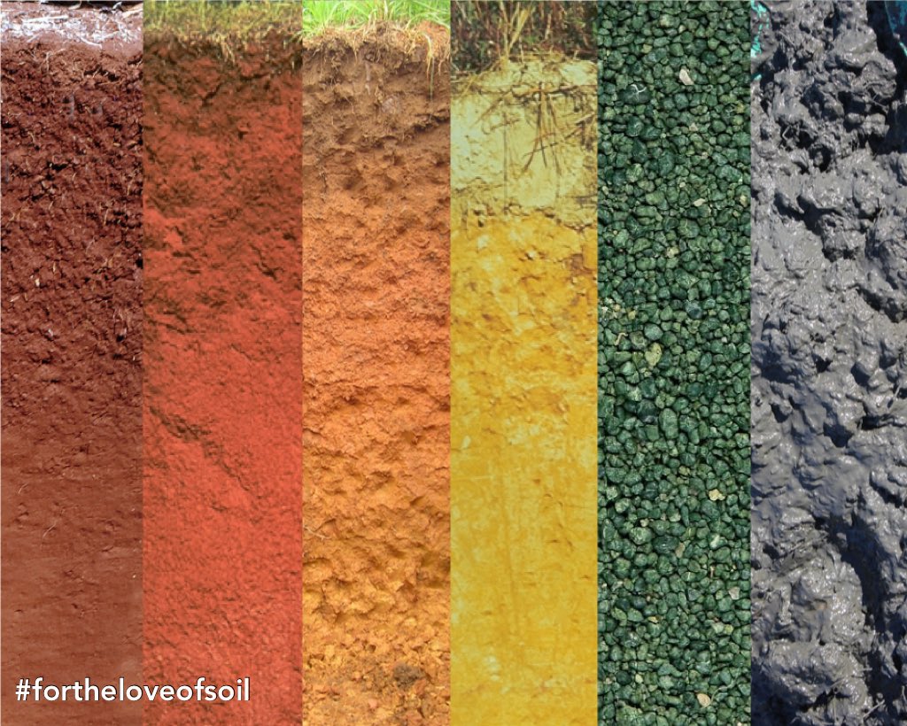 vaughan_soil's tweet photo. The rainbow below 🌈
sources (L to R): (1) John Kelley, (2) Paul McDaniel, (3) me, (4) John Kelley, (5) Sandaltas, (6) me.
#pridemonth #celebratediversity #soilcolor #wereallinthistogether #soilscience #soilsarebeautiful https://t.co/Tsosi5HjWD