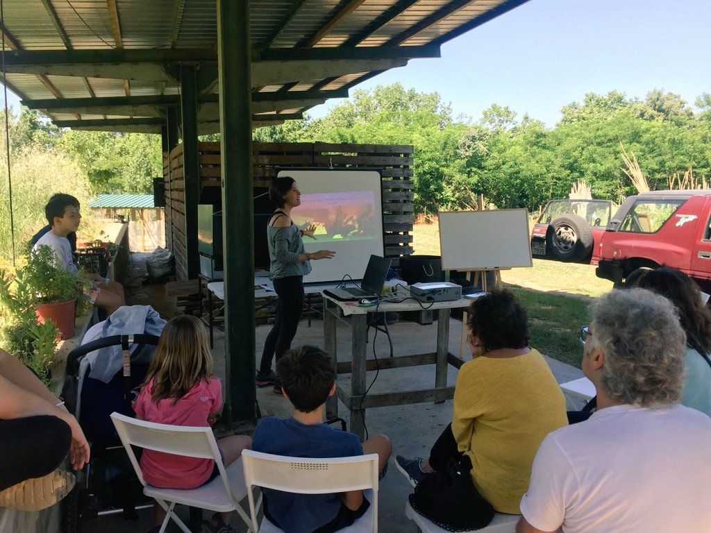 Els horts de Puigvert tweet media