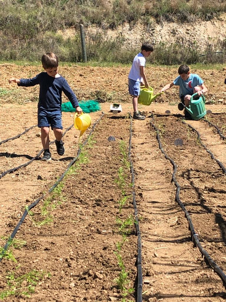 Els horts de Puigvert tweet media