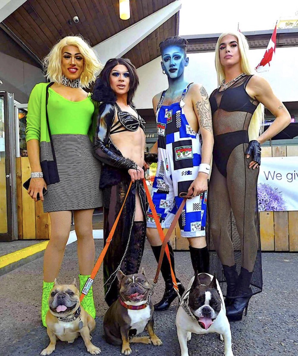 Therapy_Dogs_'s tweet photo. Mango, Elsee and Meatball say "We Love Vancouver Gay Pride!" 🌈🍧 #gaypride #therapydog #love #lovedogs #CuteDog https://t.co/XtRdfvQHXN