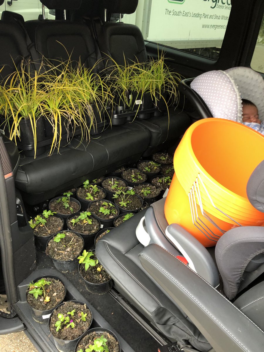 Ayelandscape's tweet photo. A massive thank you ππΌ π to Teresa from @EvergreenExt for helping me load the van up with plants. Super helpful as always ππππΌ oh and spot the baby! π#3weekold #workingmama https://t.co/rVSx8z3wDh