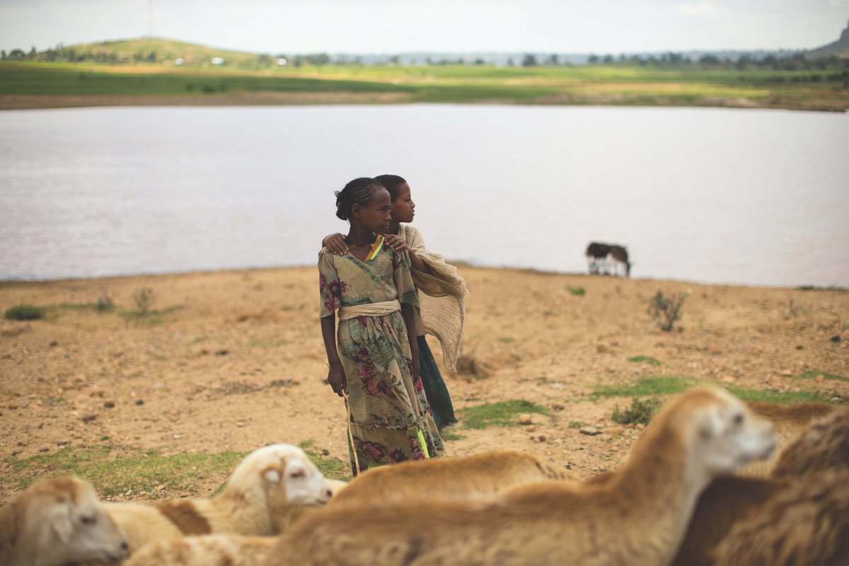 GenHumanRights's tweet photo. "Photos can show the world what's happening & expose the truth," students learn in the #MVPBus curriculum on Koraro, Ethiopia. The unit focuses on the power of photos to effect change. PC: @ronhaviv #getonthebus #humanrights #youthactivism #education #genhr @humanrightseducation https://t.co/293wytKpZp
