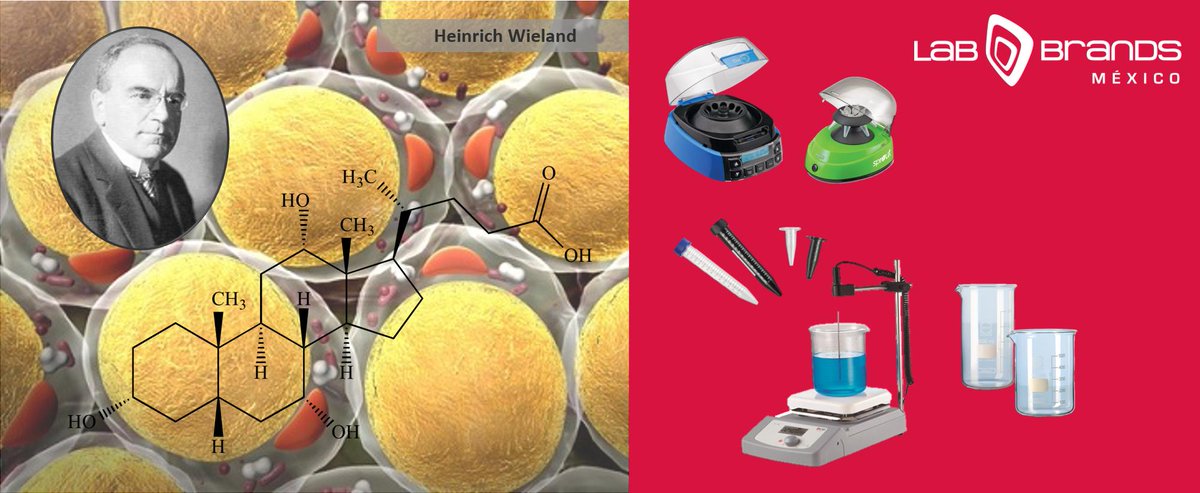 LabBrands's tweet photo. Un día como hoy pero de 1877 nació Heinrich #Wieland, galardonado con el Premio Nobel de #Química por sus investigaciones en ácidos biliares. Conoce nuestros productos enfocados a la #química y #bioquímica de #DURAN #HEATHROWSCIENTIFIC #DLAB https://t.co/CxXw1lCHPf
