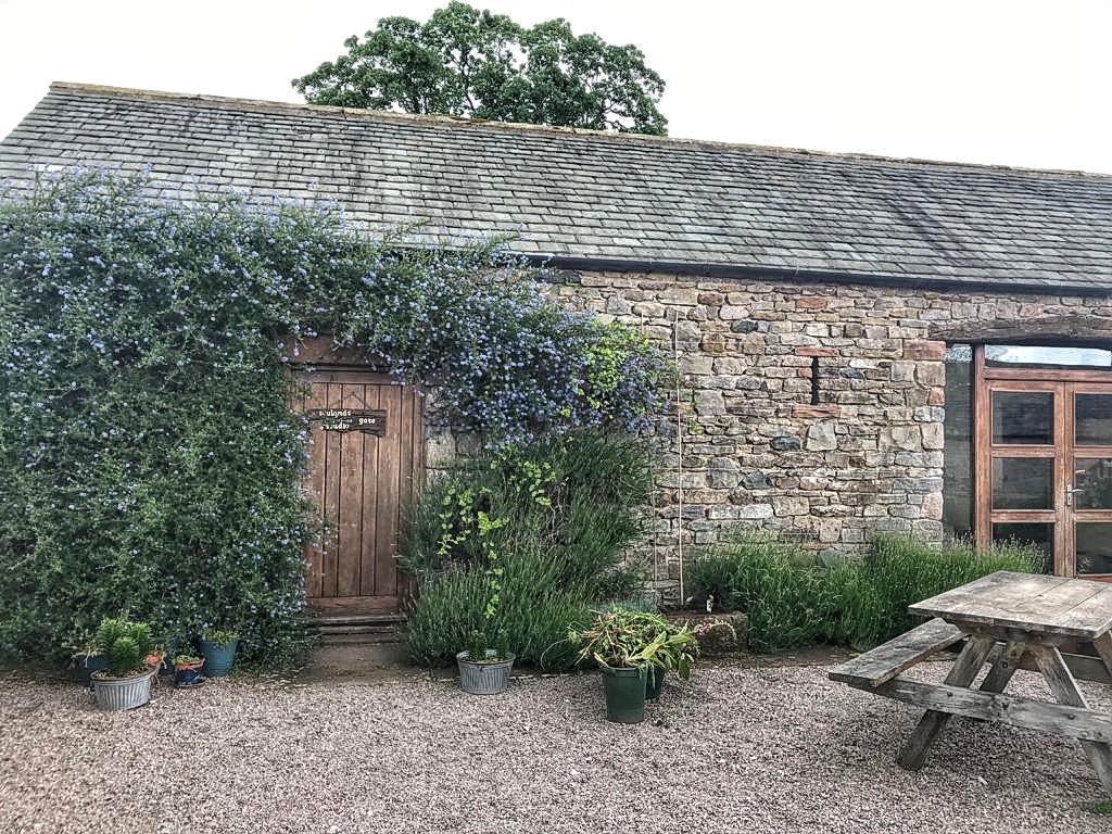 thespace_uk's tweet photo. We're in the stunning Lake District talking all things British sheep’s wool today with our lovely natural insulation client @thermafleeceUK 🐏
#clientlove #naturalinsulation #thermafleece #creativeagency #designagency #brandingagency #thespacecreative #lakedistrict https://t.co/hTKM8vCqRb