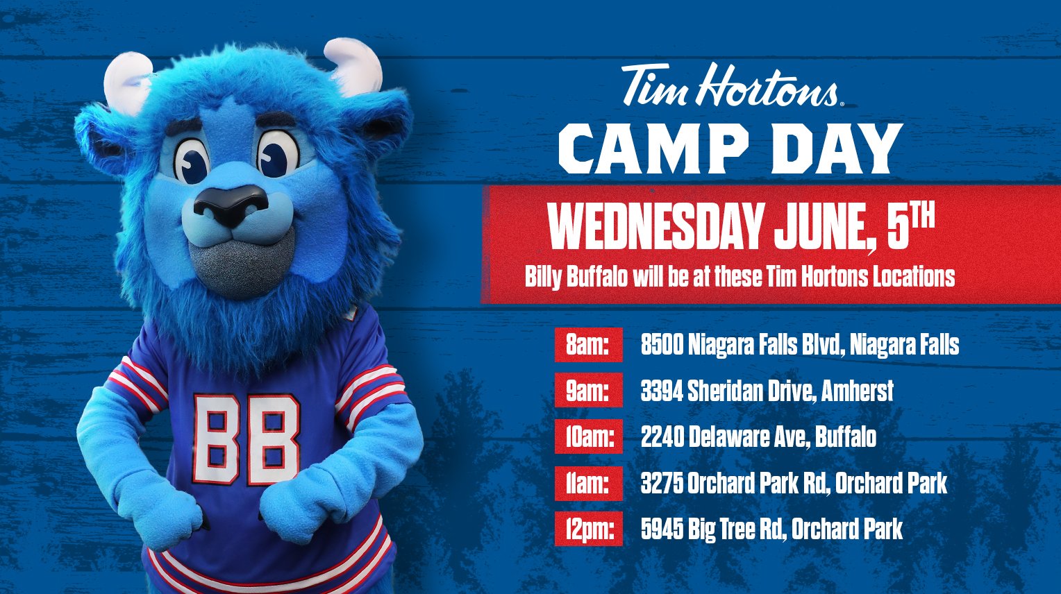 Billy buffalo plush new arrivals