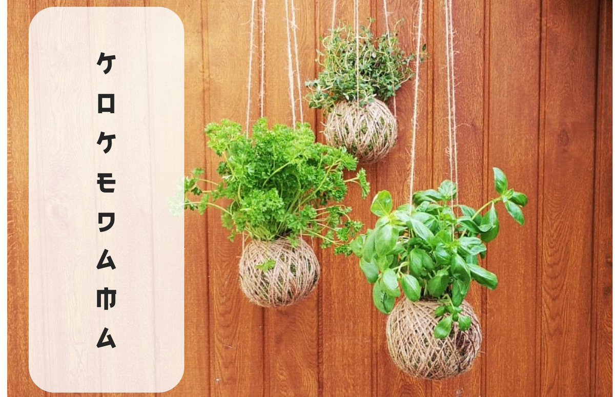 D11_11 (@damiigp) on Twitter photo 