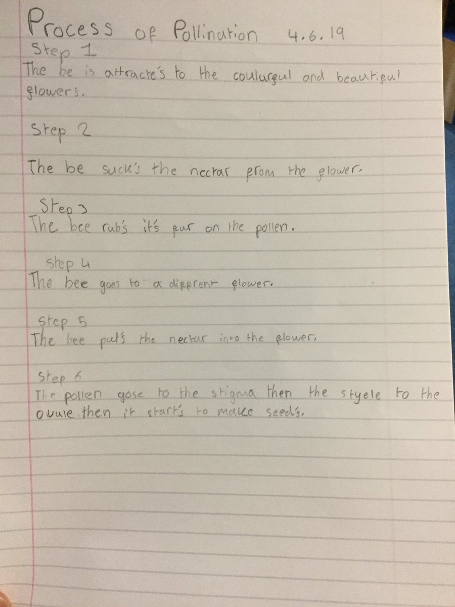 STC__6RC's tweet photo. Pollination process retold by year 3 #science #STCstem https://t.co/ZlC8kQGRa2