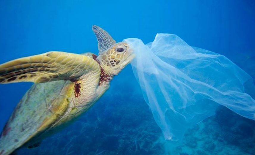 INSTITUT GUTTMANN tweet media