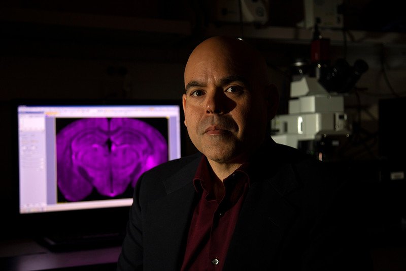 UAlbany News (@ualbanynews) on Twitter photo Through a $1.89 million award from <a href="/NIMHgov/">National Institute of Mental Health (NIMH)</a>, <a href="/UAlbanyPsych/">UAlbany Psychology</a> prof. Andrew Poulos is inspecting how gender & age impact fear responses: bit.ly/2EJmm45 Through a $1.89 million award from <a href="/NIMHgov/">National Institute of Mental Health (NIMH)</a>, <a href="/UAlbanyPsych/">UAlbany Psychology</a> prof. Andrew Poulos is inspecting how gender & age impact fear responses: bit.ly/2EJmm45