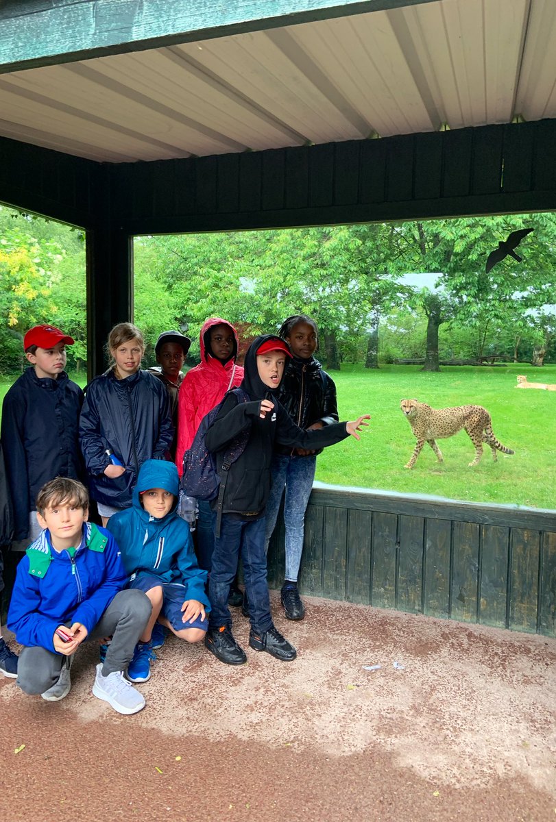 HothamMissM's tweet photo. To the zoo! https://t.co/0rhPOEGdXH
