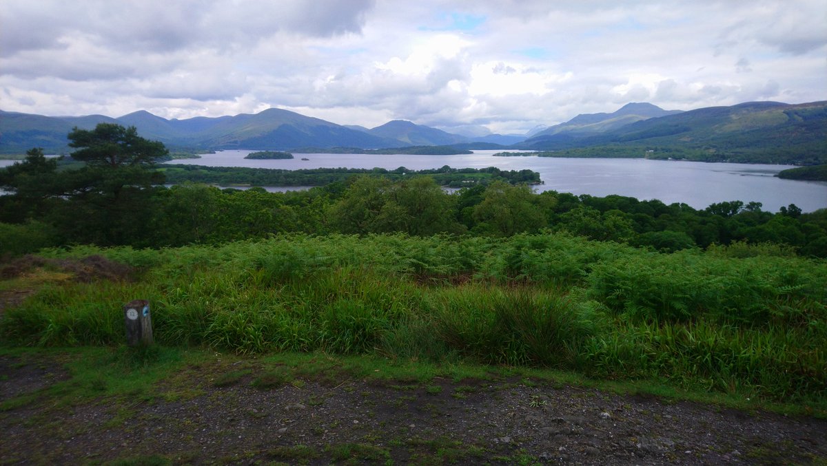 KevinUnitt's tweet photo. Beautiful summer day for some important boardwalk repairs and vegetation management on Inchcailloch, a jewel of an island on Loch Lomond #LandOperations @lomondtrossachs @VisitScotland #ScotSpirit https://t.co/TOMuhnffQQ