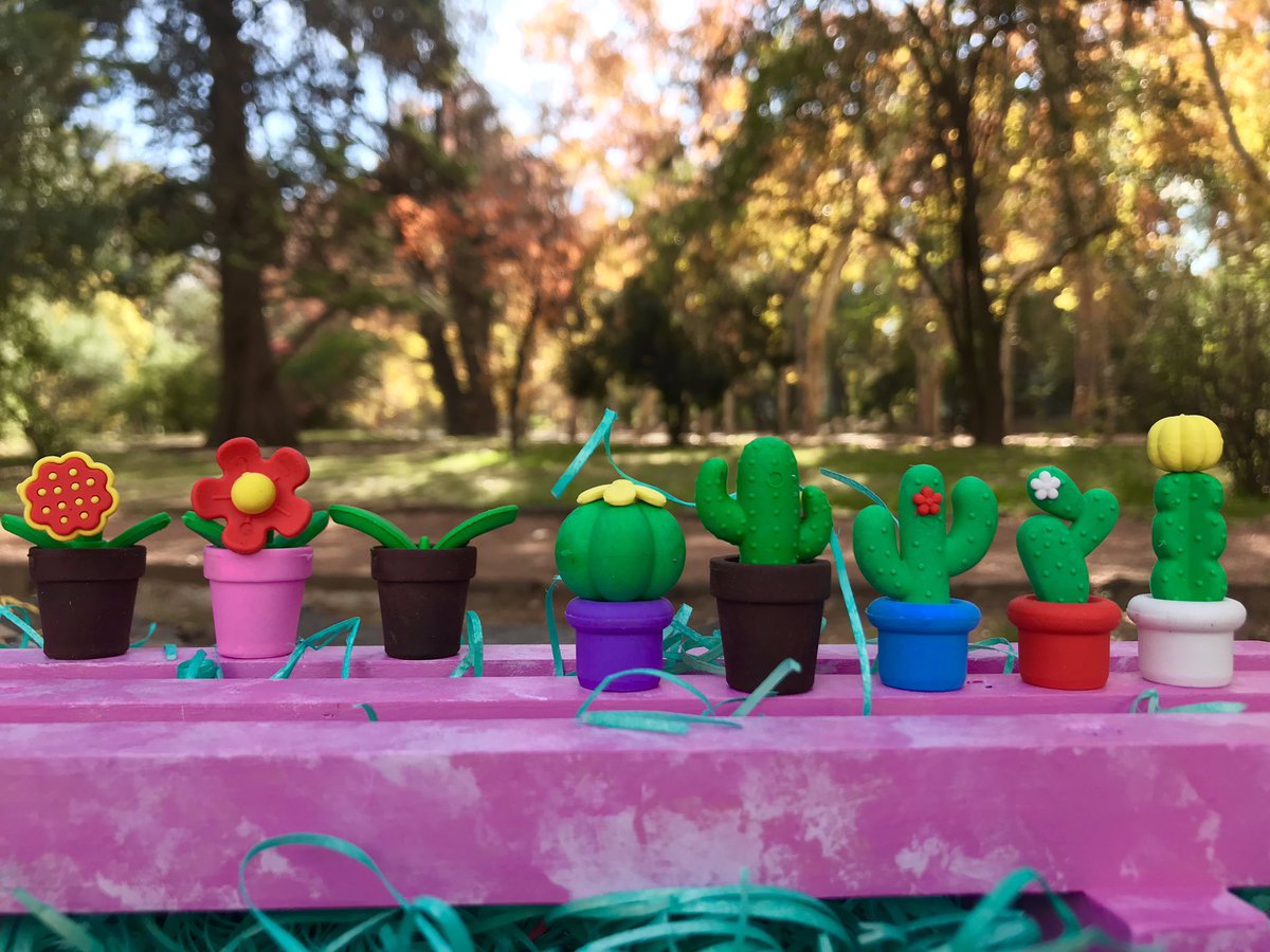 Las gomas de borrar más hermosas 🌵🌵🌵