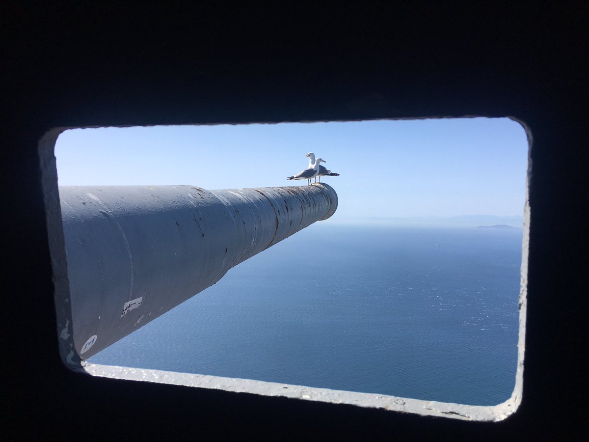 Crystal clear views across the straits of Gibraltar from the inside of O’Haras  battery.#gibraltar #straitsofgibraltar #oharasbattery #VisitGibraltar #seagulls #ww2battery #morrocco #ceuta #cabonegro #jheba