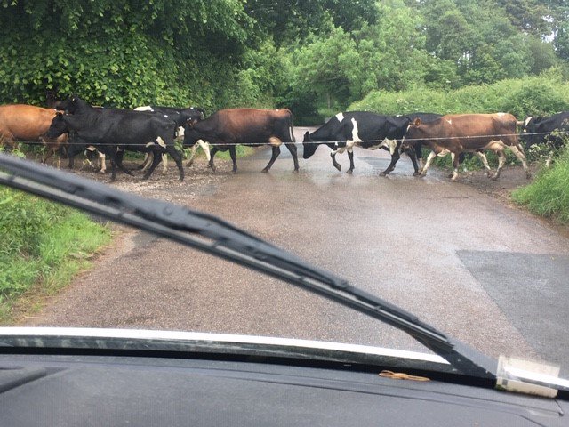 HighGroundBoss's tweet photo. Busy #Day2 of #RuralWeek @BictonCollege. Thnx @FCHaldonForest & @KennifordFarm 4 great visits, currently in #Devontrafficjam..! #DevonDay #outdoorsisbetter Pls share this https://t.co/y6DoxOba71 @RFEA_UK @The_W_E_A @RMTransition https://t.co/jrXaXPYDlr