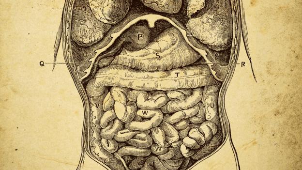 TheManualUSM's tweet photo. #Microbiome fundamentals and foods to promote a healthy microbiome diversity https://t.co/KdcvXVCH0x
#diet
#health
#nutrition https://t.co/KeNKA3ITTk