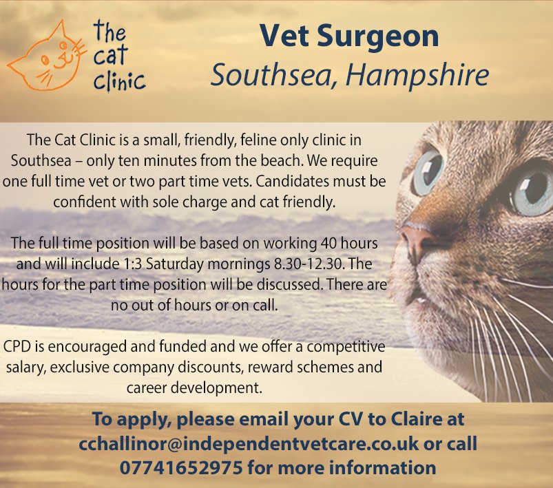 cat clinic southsea